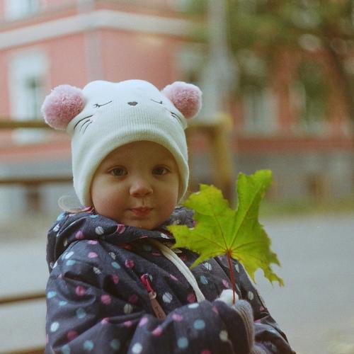 Photo #4971603