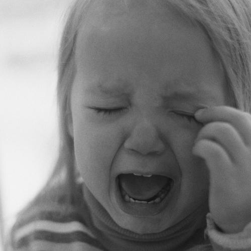 Photo #4971656