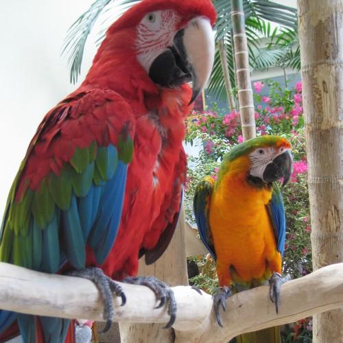 Photo #4971952