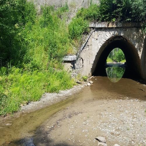 Photo #4972411