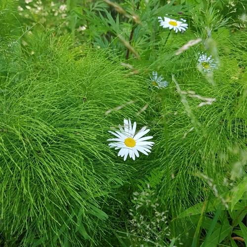 Photo #4972416