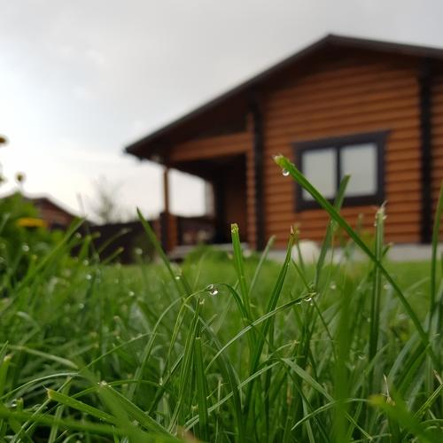 Photo #4972425
