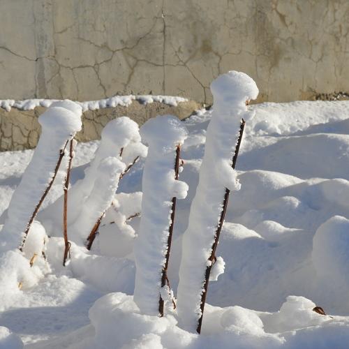 Photo #4972610