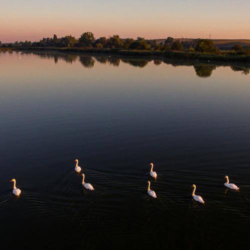 Photo #4972749