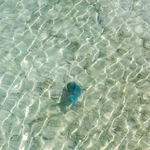 Photo #4972779