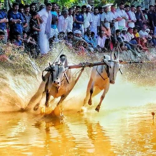 Photo #4972850