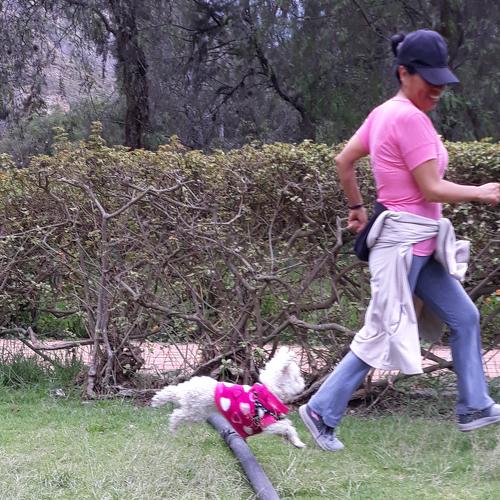 Photo #4972861