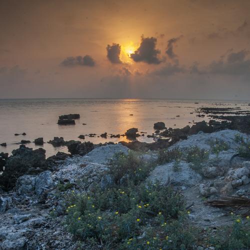 Photo #4973102