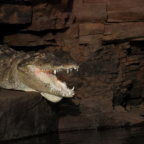 Photo #4973199
