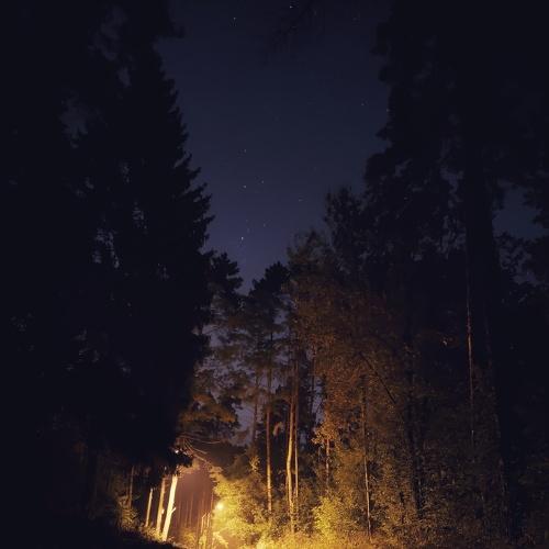 Road to the Train