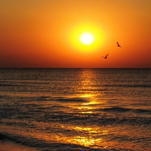 Photo #4973349