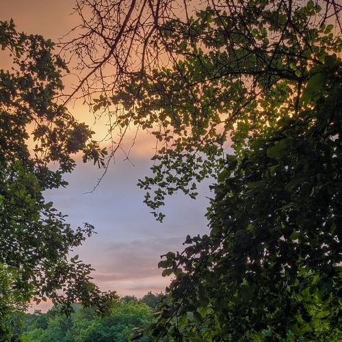 Photo #4973520