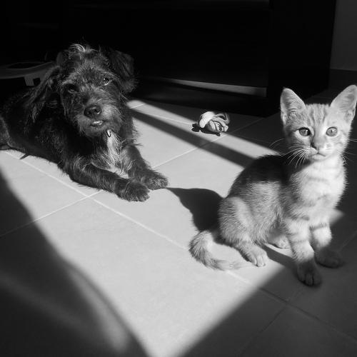 Photo #4973726