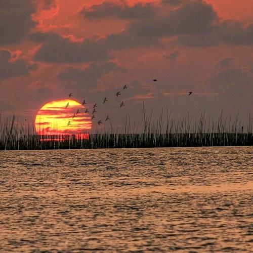 Photo #4973909