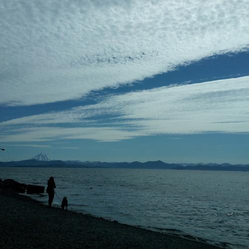 Photo #4974017