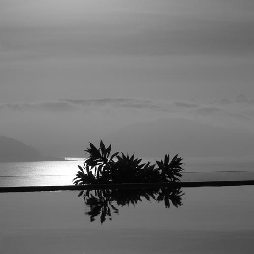 Photo #4974684