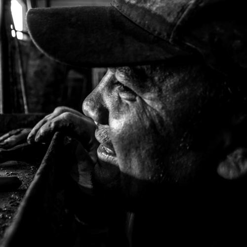Photo #4974694