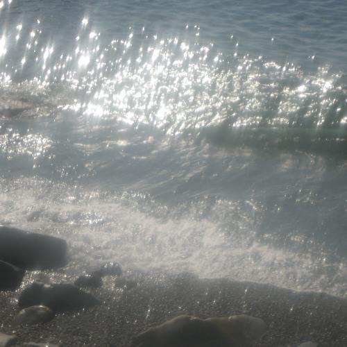 Photo #4974698