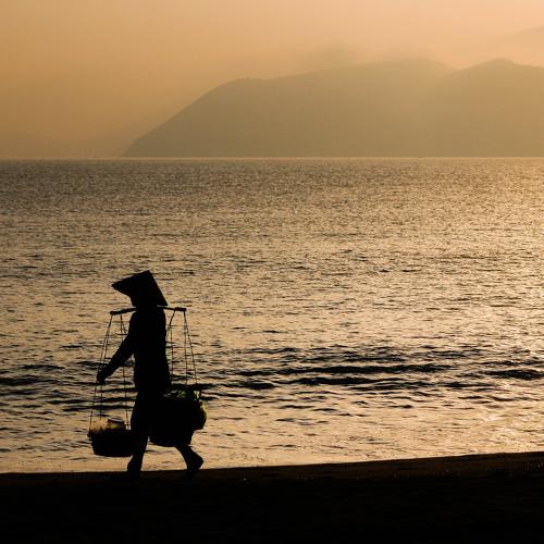 Photo #4974702