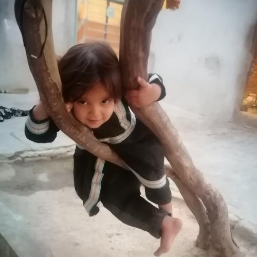 Photo #4974872