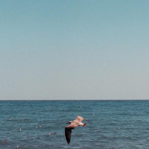 Photo #4975520