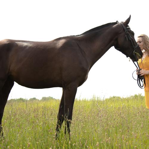 Photo #4975556