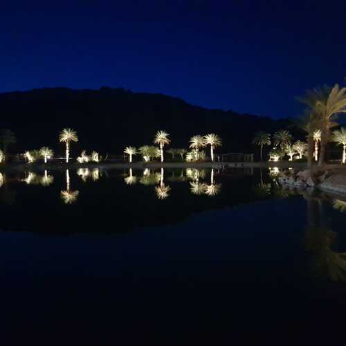 Photo #4975588