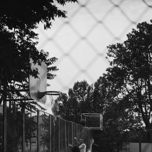 Photo #4975711