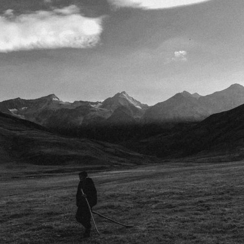 Photo #4975739