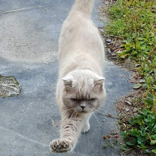 Photo #4976179