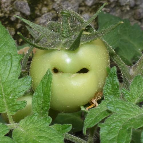 Photo #4976484