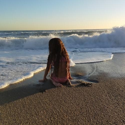 Photo #4976496