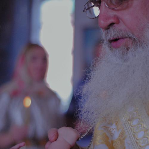 Photo #4976533