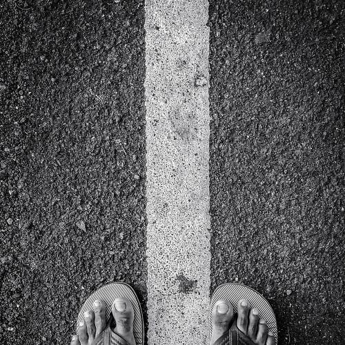 Photo #4976662