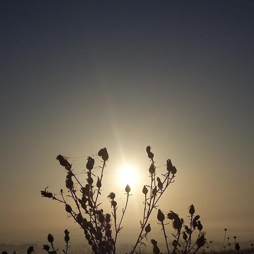 Photo #4977090