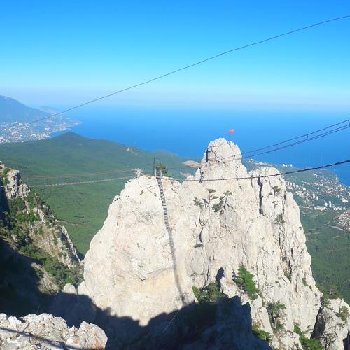 Photo #4977224