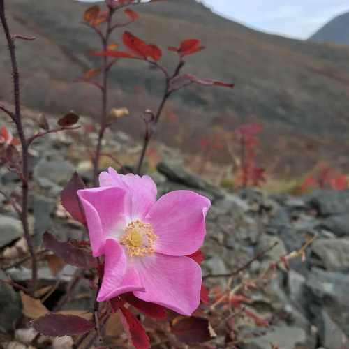 Photo #4977472