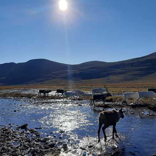 Photo #4977578