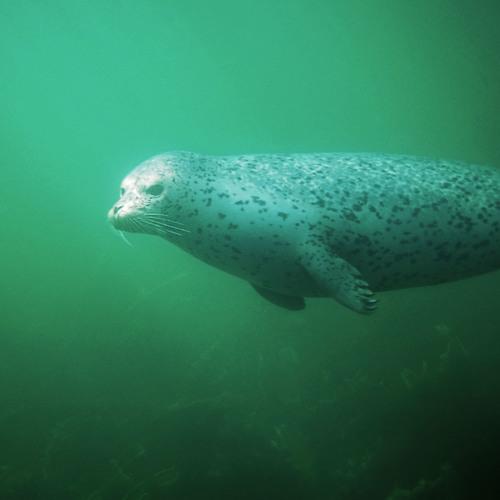 Photo #4977867