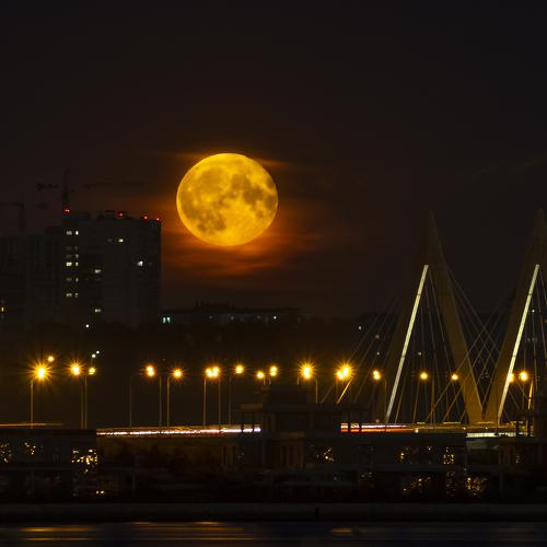 Photo #4978244