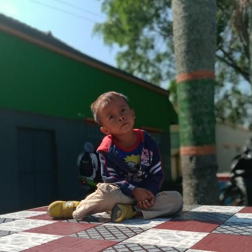 Photo #4978401