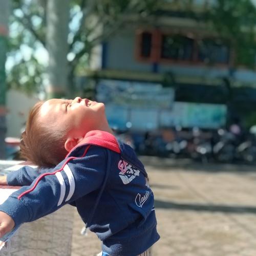 Photo #4978402