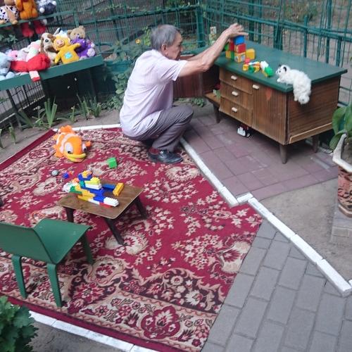 Photo #4978462