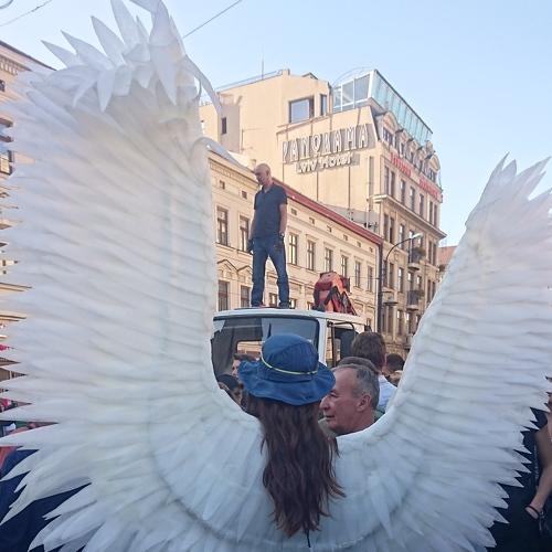 Photo #4978469