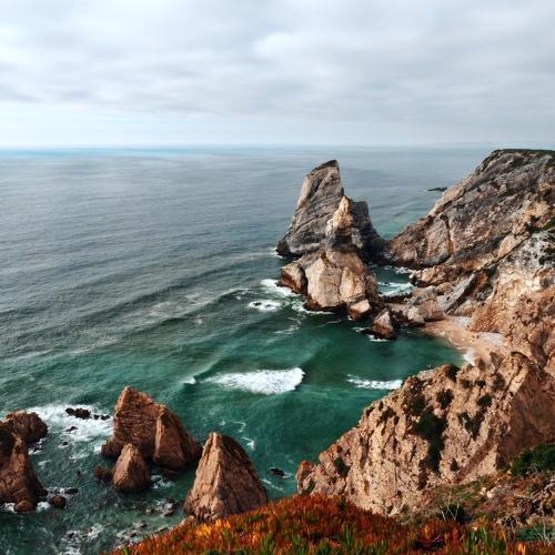 Photo #4978482