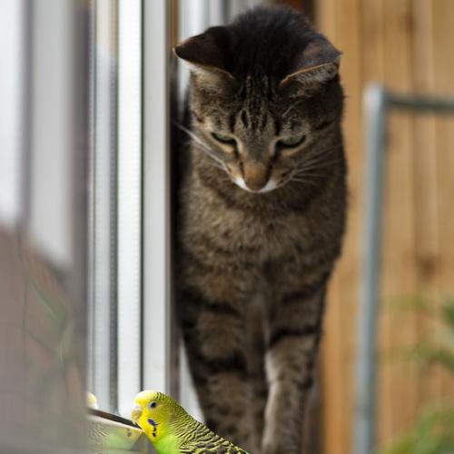 Photo #4978485