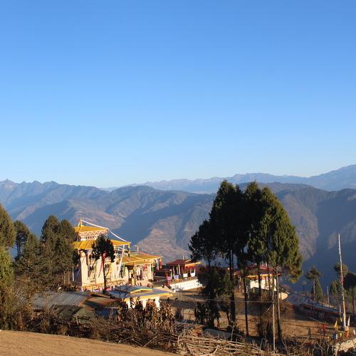 Photo #4978967