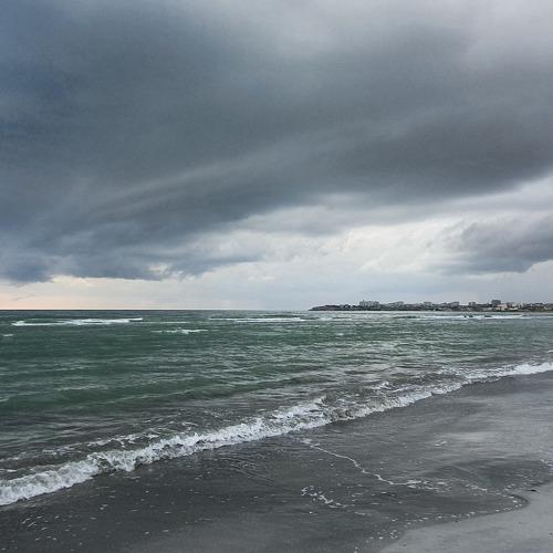 Photo #4979106