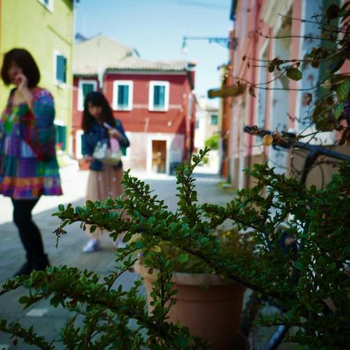 Photo #4979153