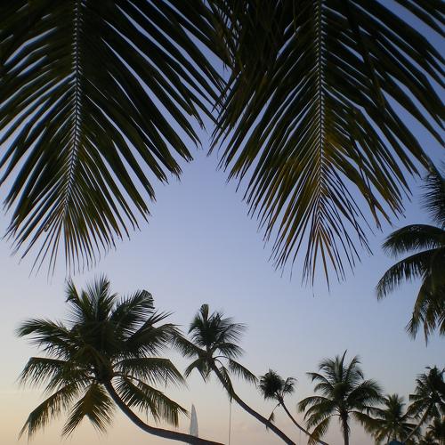 Photo #4979657